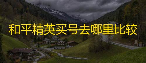 拾光科技辅助器下载和平精英买号去哪里比较好
，正规卖和平精英账号官网